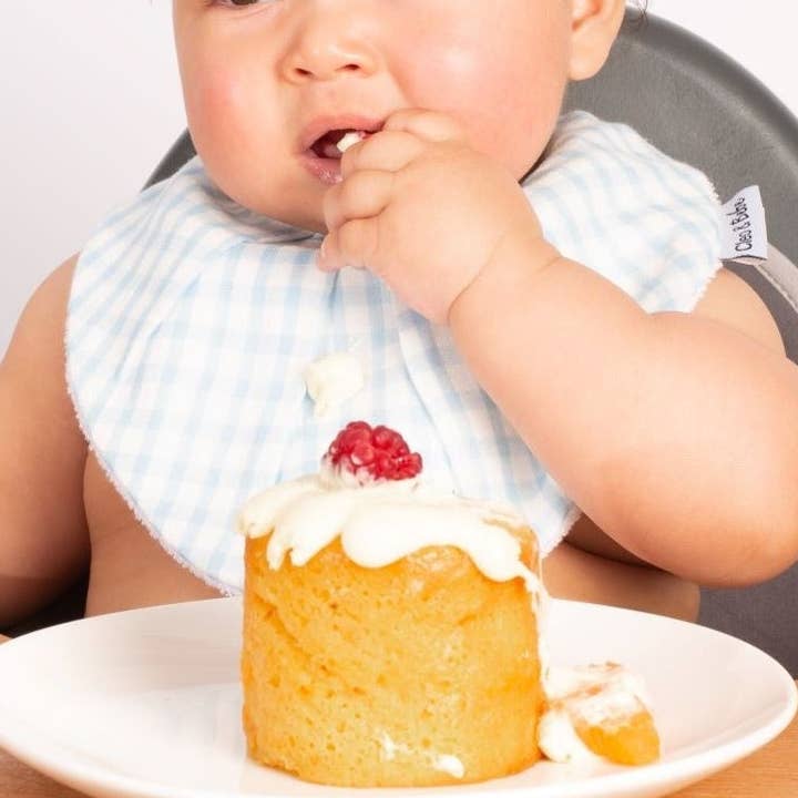 Baby Blue Gingham - Waterdicht slabbetje met bandana voor wholesale door Cleo & Bebe