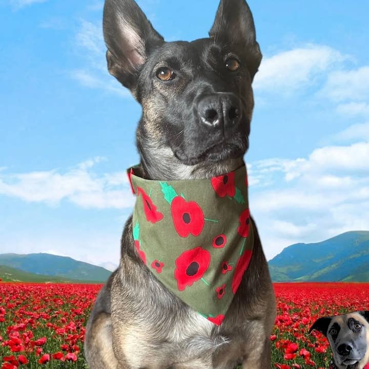 Khaki Lest We Forget Poppy Pet Bandanas - Dog Cat  for wholesale by Storms Style