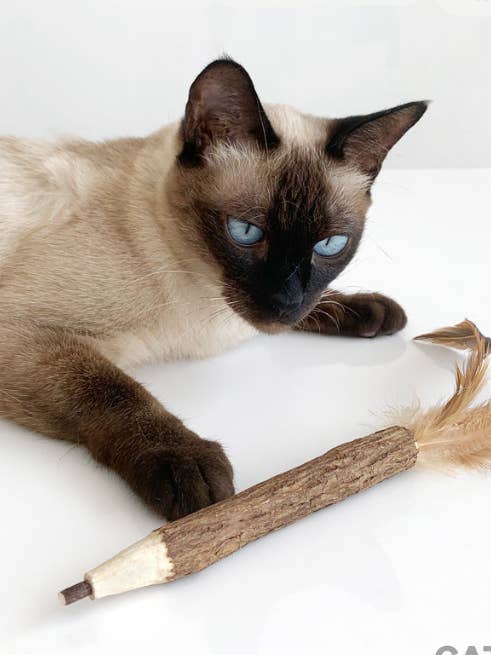 Caneta Silvervine Feather por atacado de CATWANT