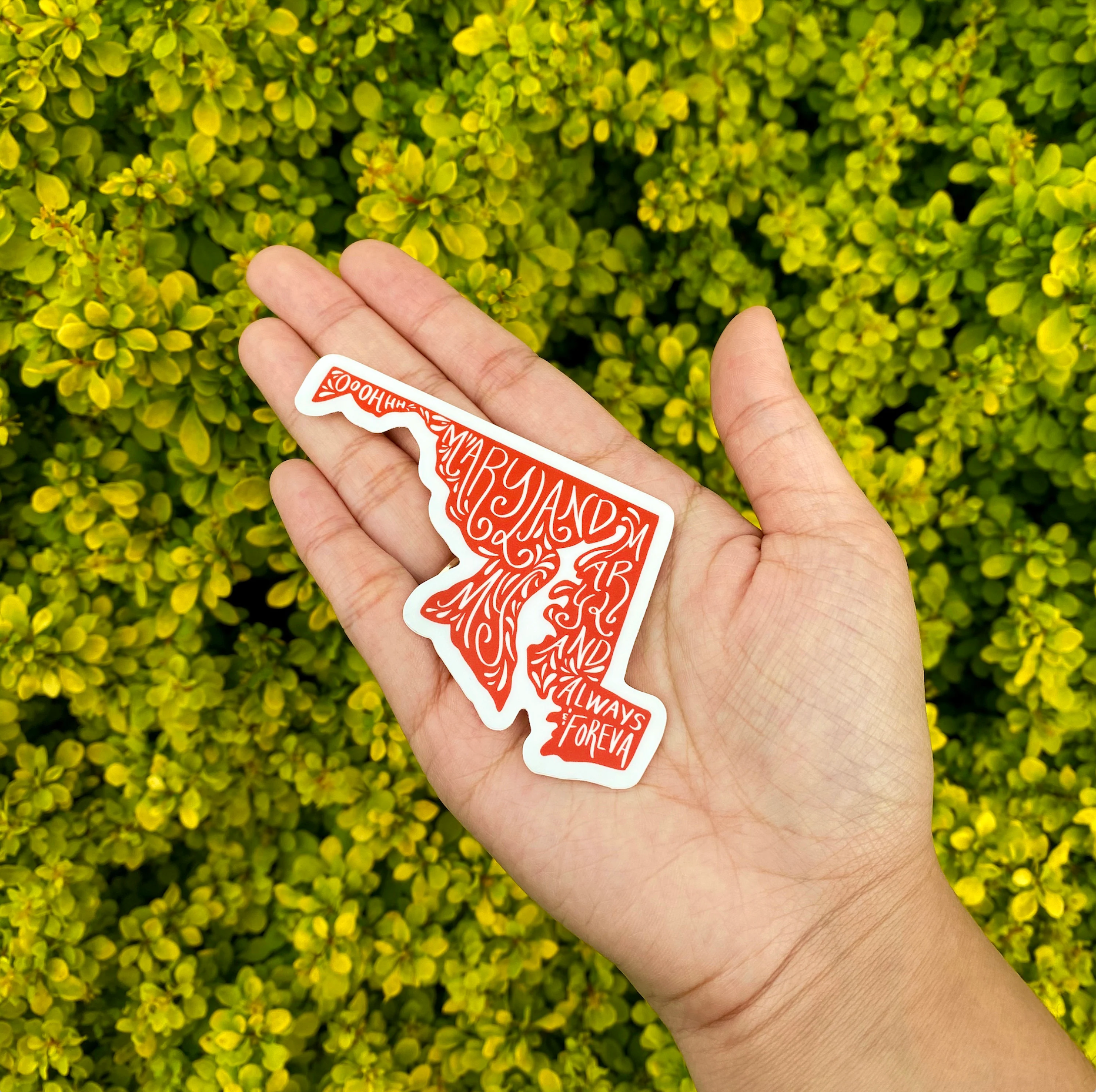Brand Nhu Creative Studio - Wholesale Sticker - Oh Maryland My Maryland Sticker3