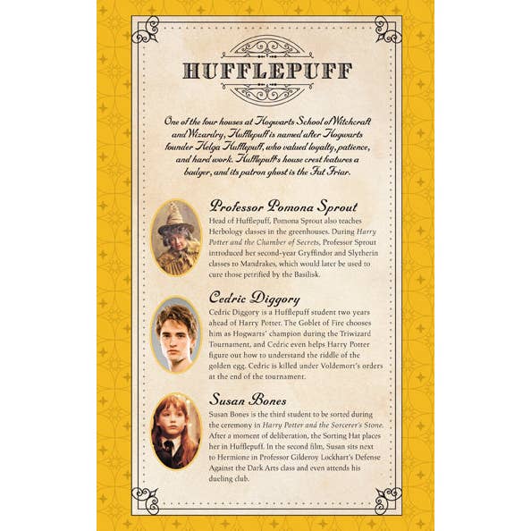 Insight Editions - #1 Pop Culture Publisher - Wholesale Notebook - Harry Potter: Hufflepuff Ruled Notebook1