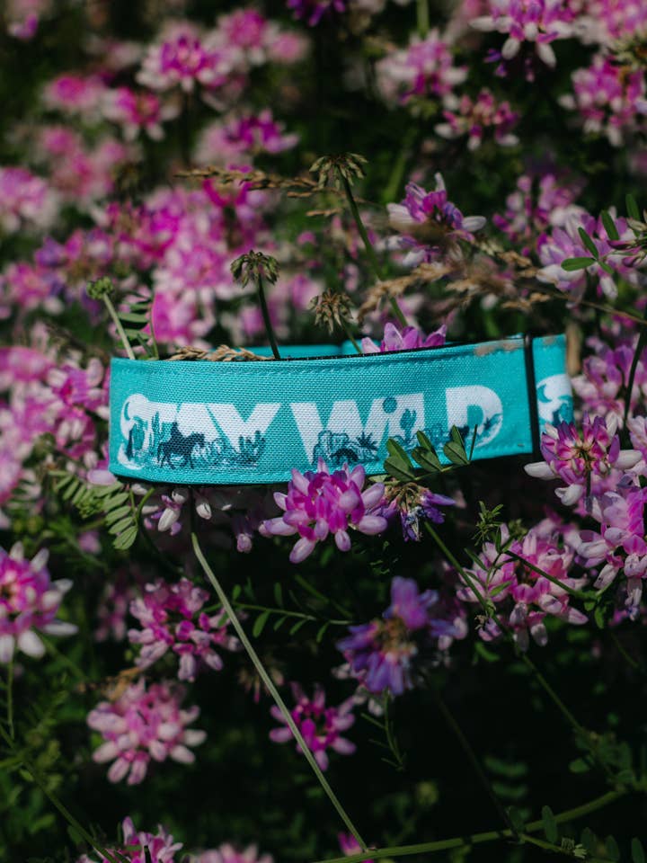 Collier pour chien en toile recyclée - Stay wild Maximum bleu pour la vente par Wild juniper