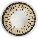 RAINBOWCOMPLETE - Wholesale Contact Lenses - RAINBOWCOMPLETE | Korean Color Contacts | M03 CHESTNUT1