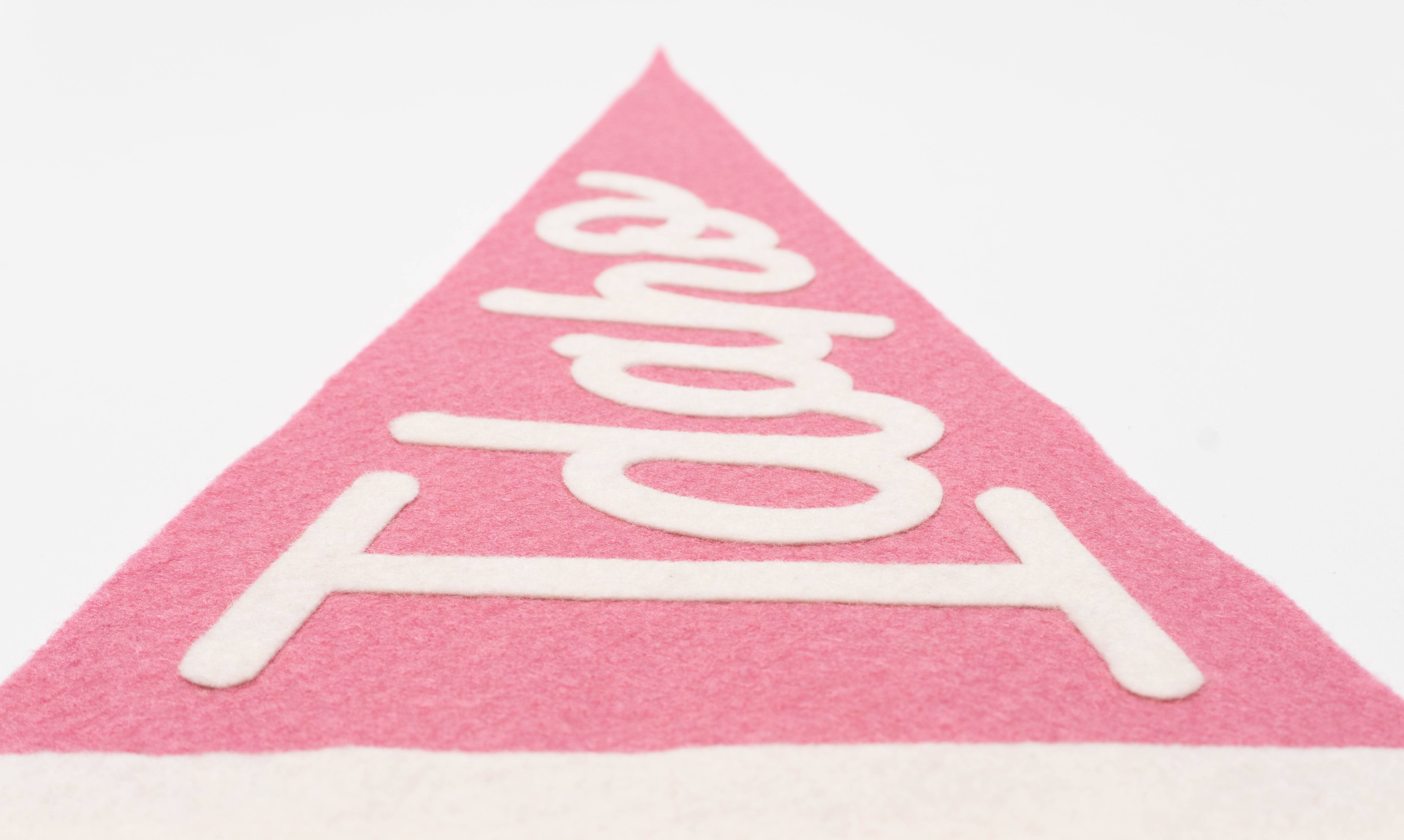 traveldashery - Wholesale Banner - idaho pennant9