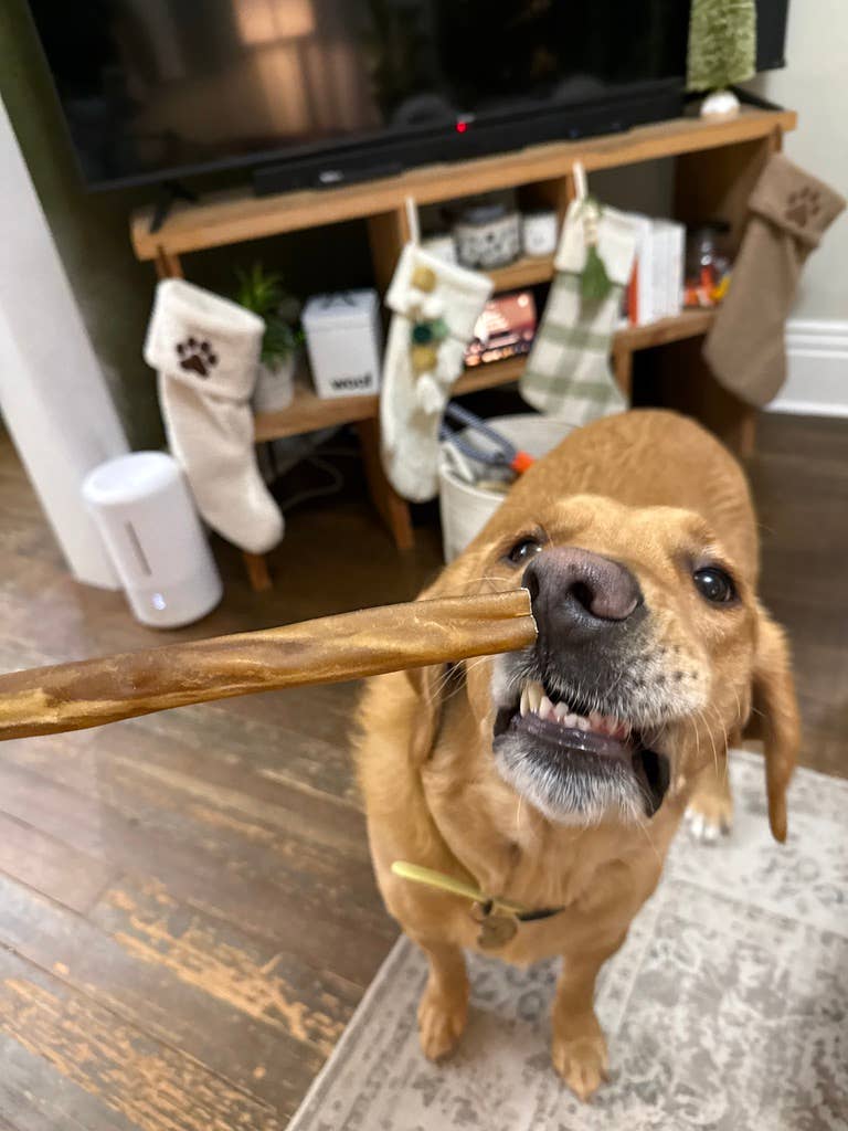 Purely Paws - Vente Friandises – chien - Friandises à mâcher pour chiens en collagène de bœuf naturel4