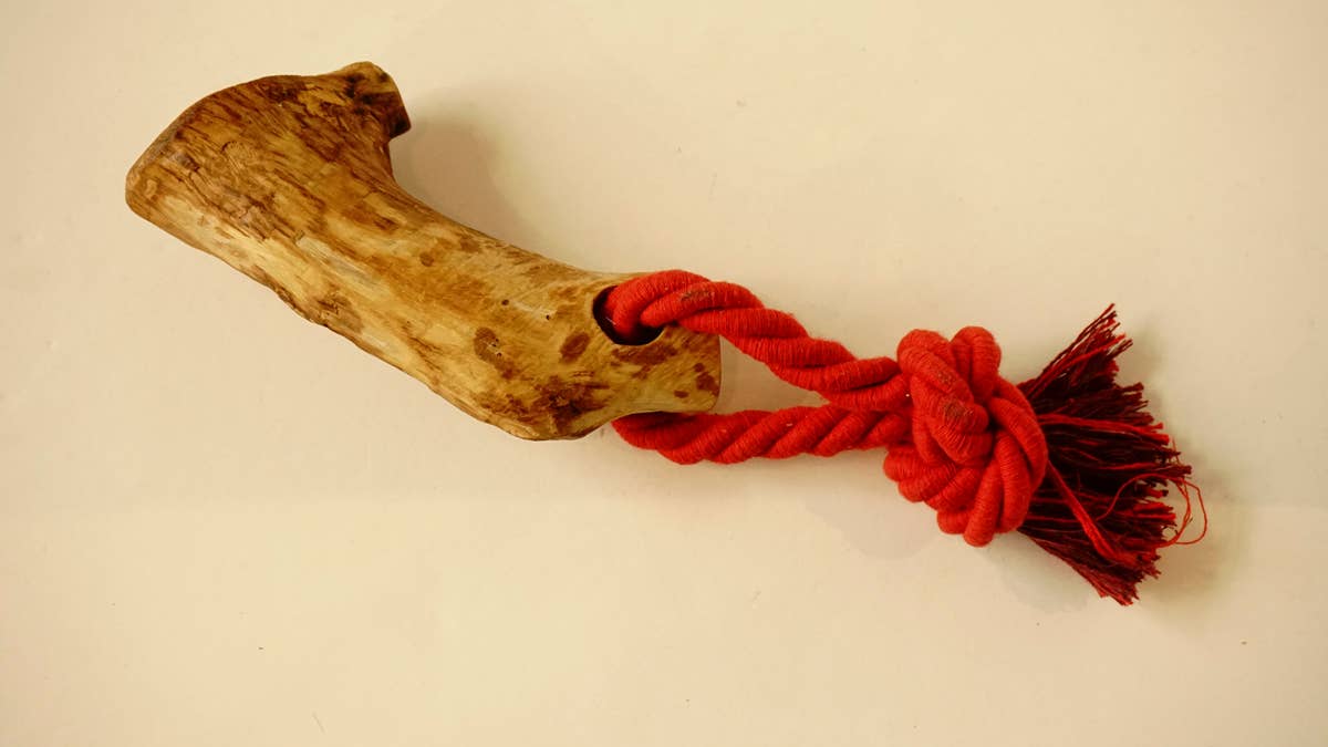 hundsfutter - Wholesale Pet Chew Toy - Dog - Olive wood teether with cotton cord7