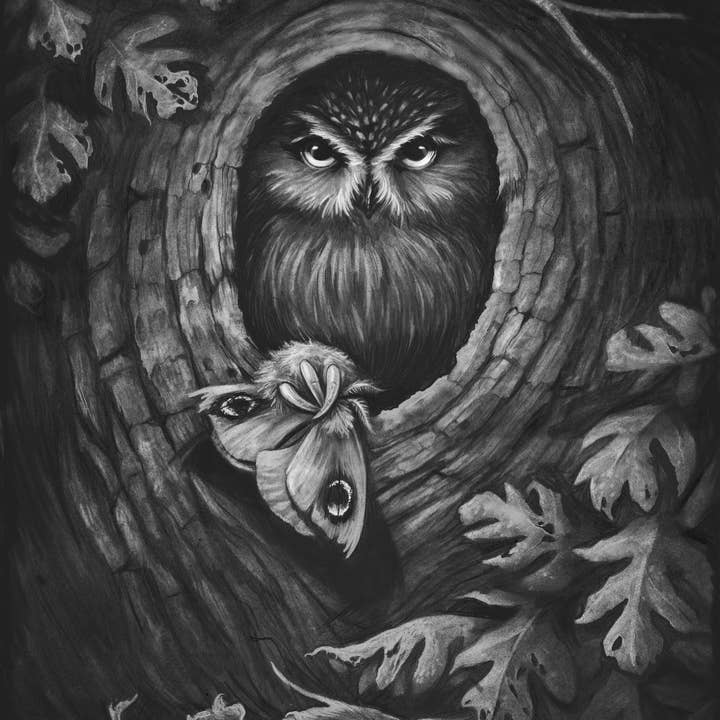 Förbipasserande för wholesale av Jenn Joslin Art & Nature