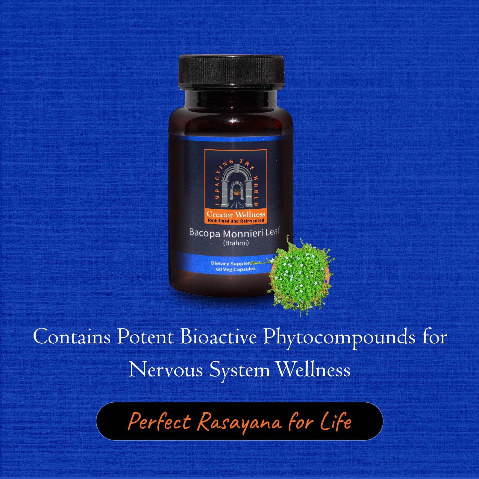 Creator Wellness - Wholesale Oral Supplement/Vitamin - Bacopa Monnieri Leaf - Brahmi | 60 Veg Capsules2