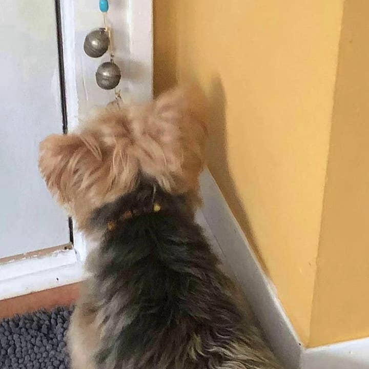 Whiskers 'n Paws Unique Pet Gifts, LLC - Vendita all'ingrosso Giocattolo - Cani - Campanelli per cani Doggie Door Bells (DDB-009)3