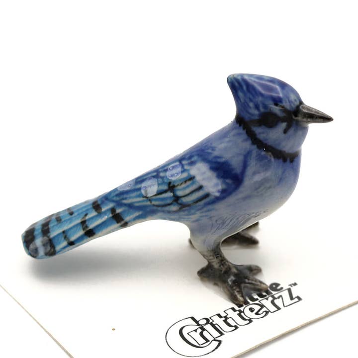 Mischief Bluejay Porcelaine Miniature pour la vente par Little Critterz