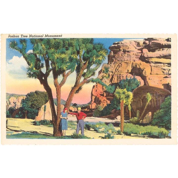Postcard CD-114 Joshua Tree National Monument, California for wholesale by Found Image Press