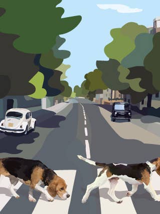 233C Abbey Road/Perros beagle cruzando un paso de cebras para venta al por mayor de Periodic Society