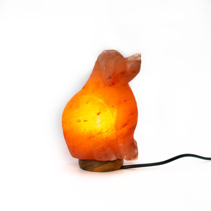 Handgefertigte Himalaya-Salzlampe Hund für den Großhandel von Heaven Spring Ltd