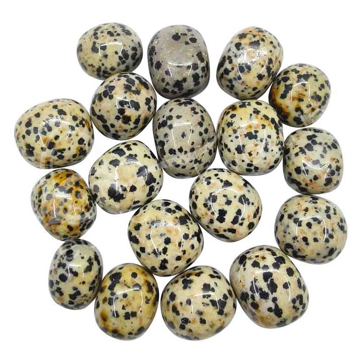 Oceanic Linkways Inc - Wholesale Spiritual Stone/Crystal - (KG)TUMBLED STONES - JASPER, DALMATIAN 15-20 MM