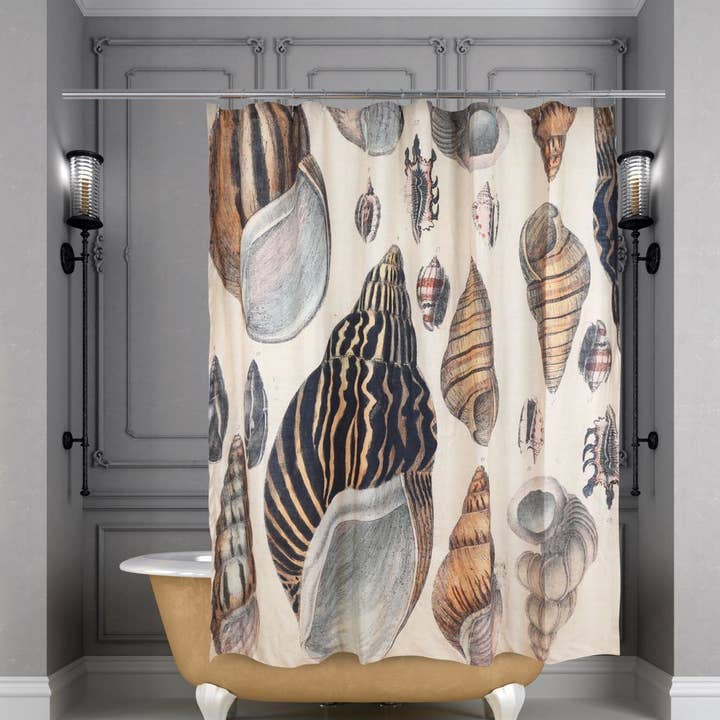 Conchology Shower Curtain 72" for wholesale by Siren Song