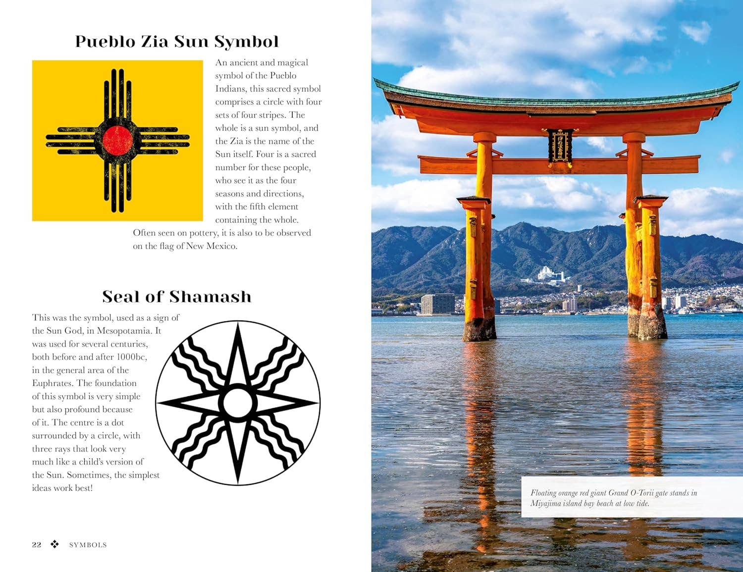 Texas Bookman - Wholesale Body, Mind & Spirit - Symbols: Their History, Meaning & Evolution1