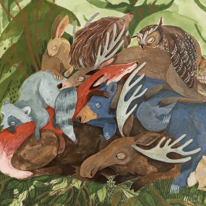 Sleeping Forest Print for wholesale by Canyon & Cove Art