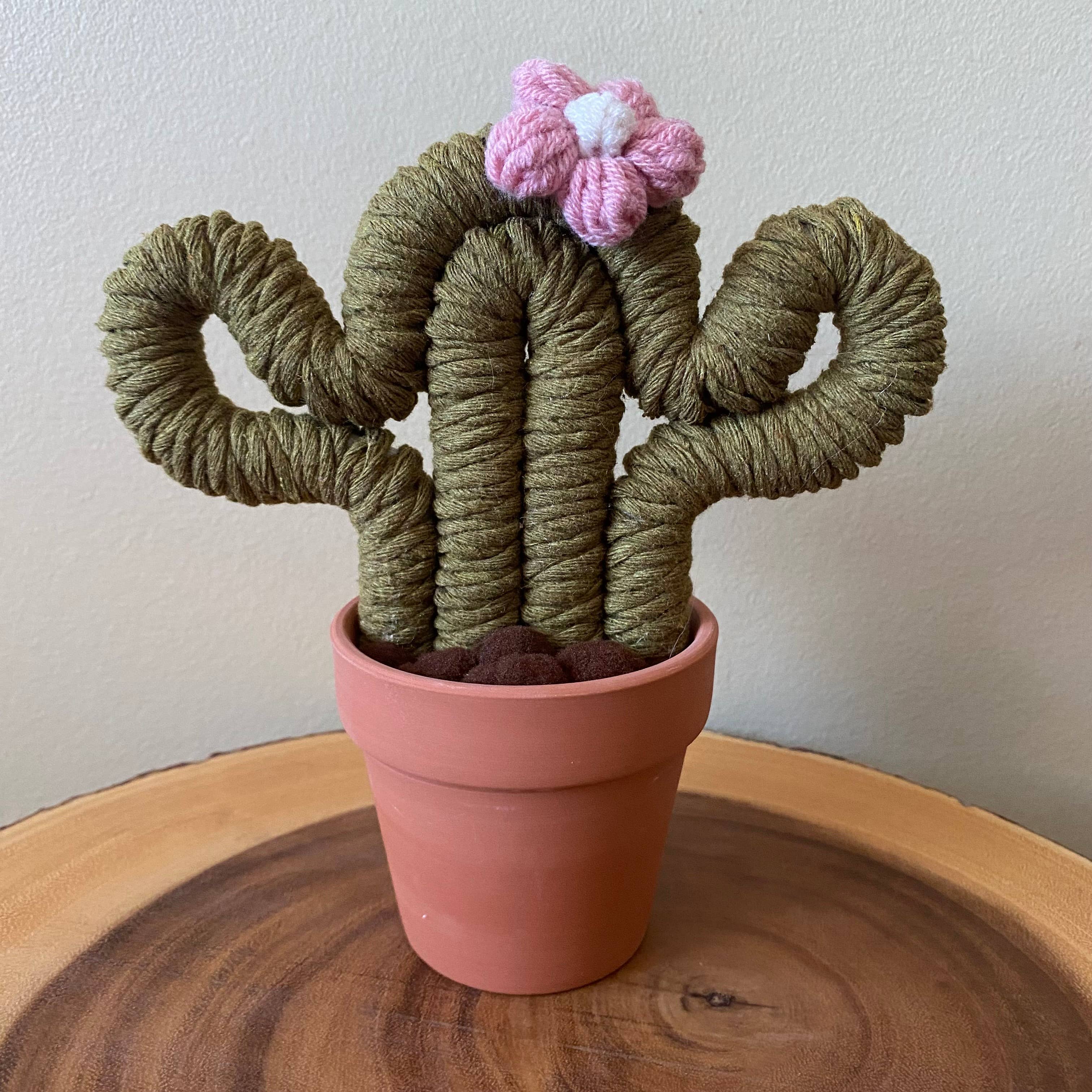 ForgetBKnot - Vente Plantes artificielles - Plante Éternelle Cactus en Macramé (Moyen & Petit)3