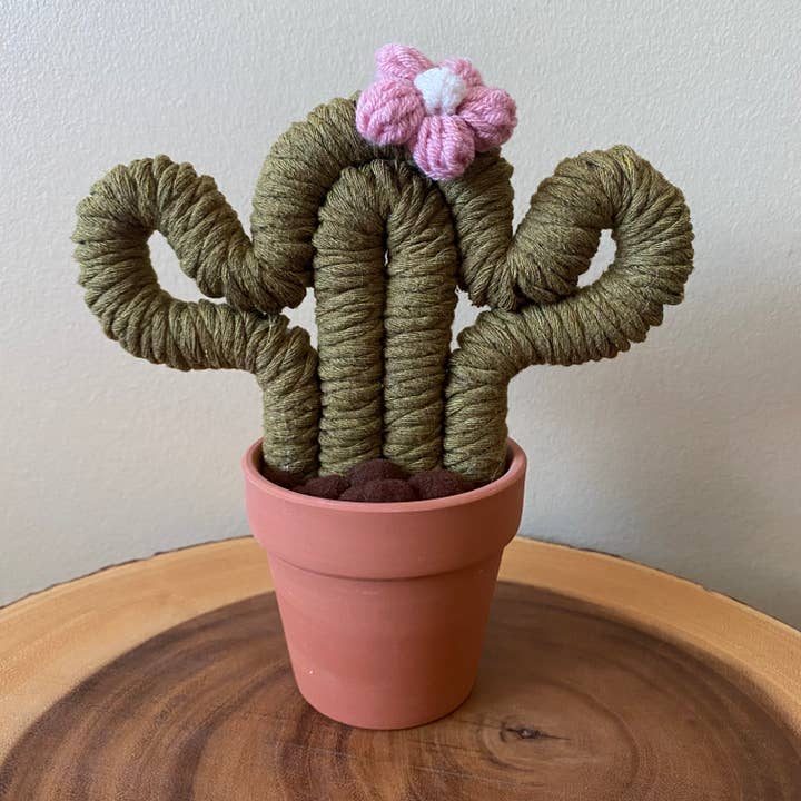 ForgetBKnot - Vente Plantes artificielles - Plante Éternelle Cactus en Macramé (Moyen & Petit)3