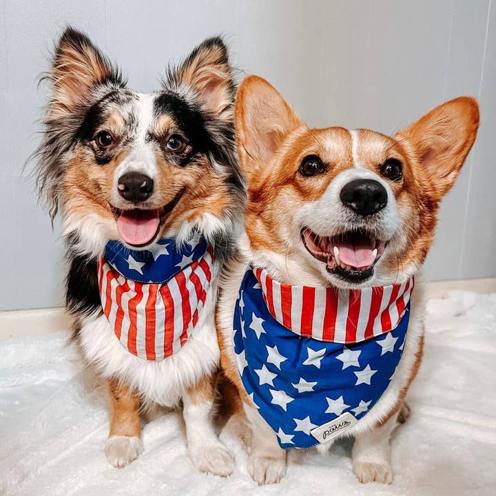 The Paws - Wholesale Pet Bandana - Dog - Patriotic Dog Bandana1