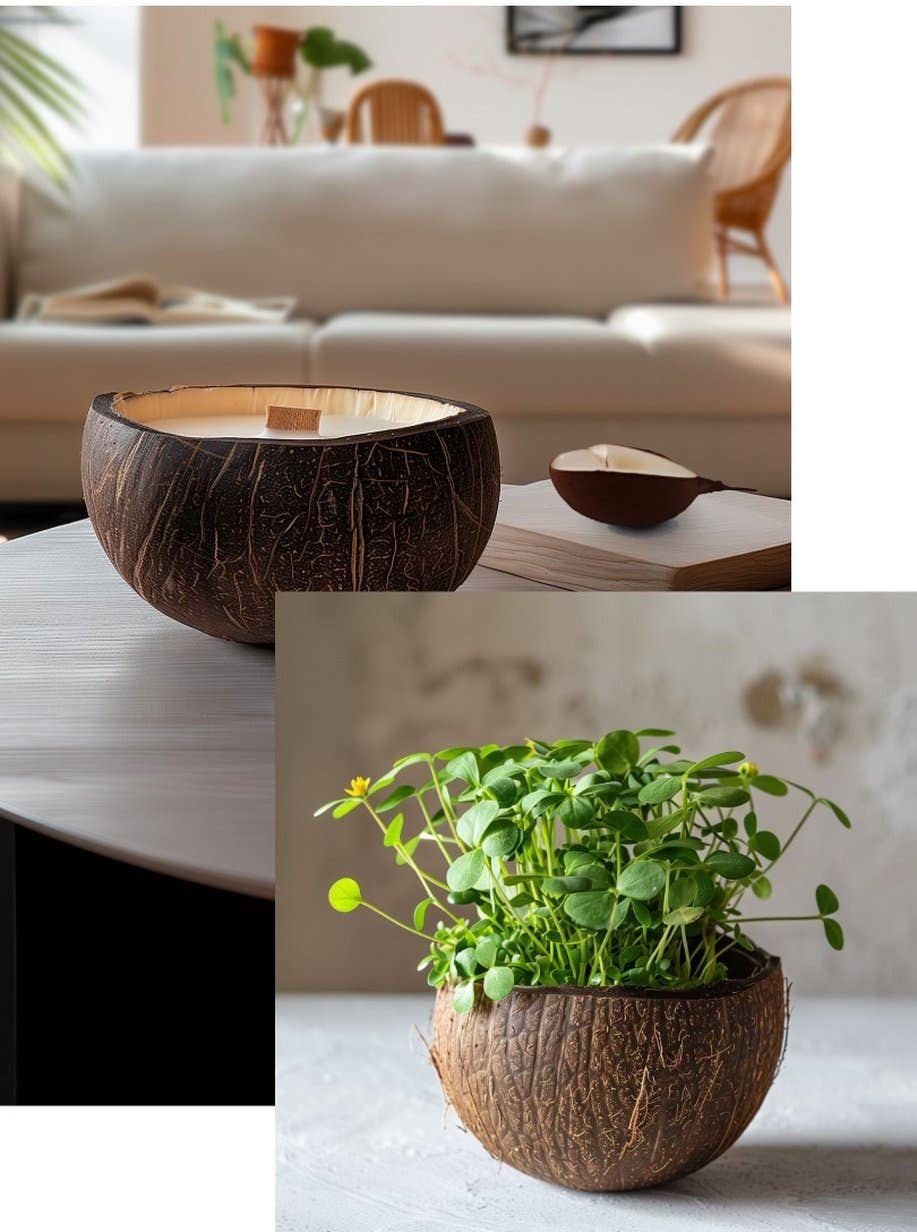 LUMINANTE - Wholesale Jar/Filled Candle - The Candle that becomes a plant Exotic Fruits model "coco"1