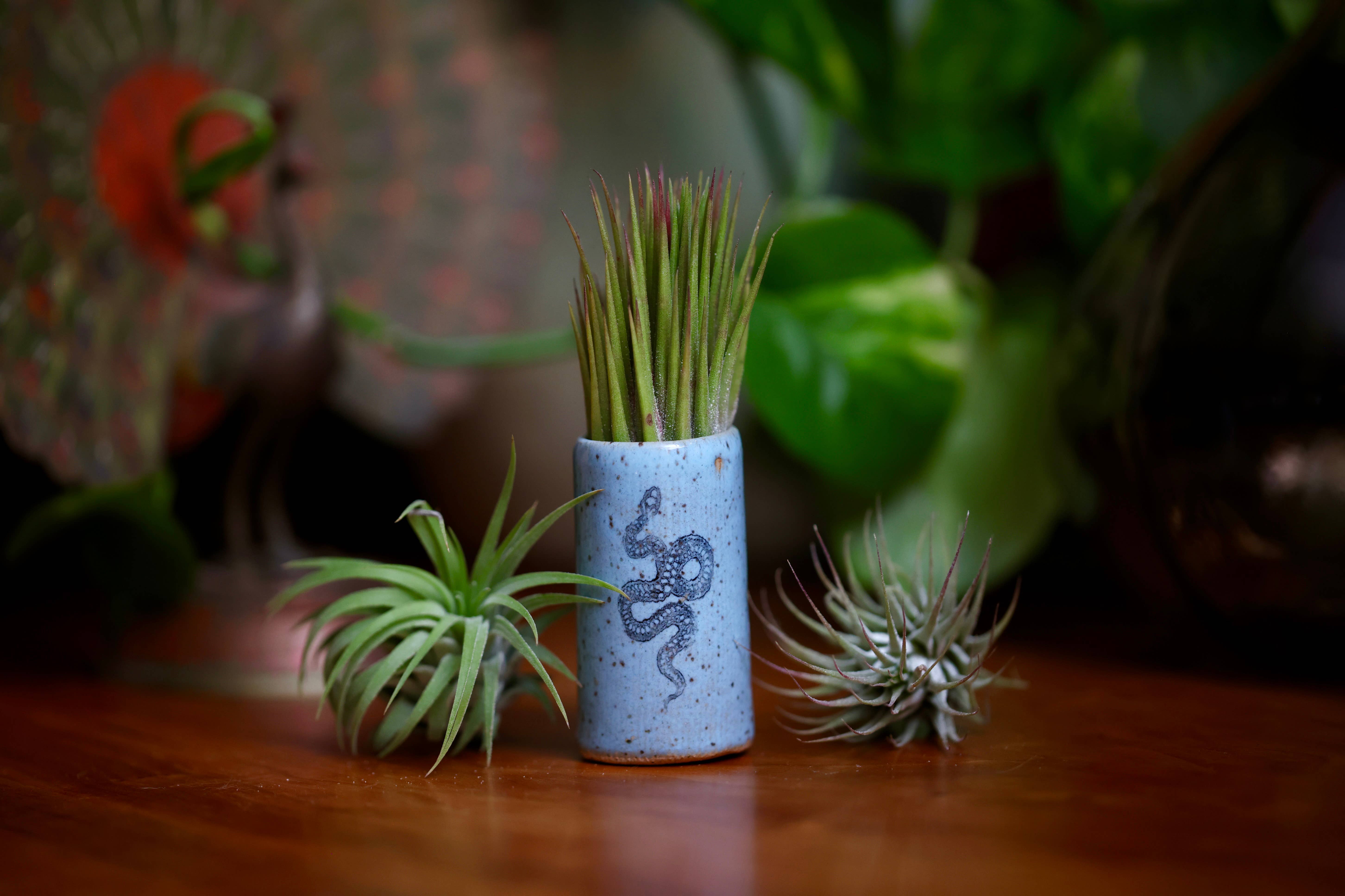 Mix Pack of Glazes Tiny Tumblers - Horse for wholesale on Faire1