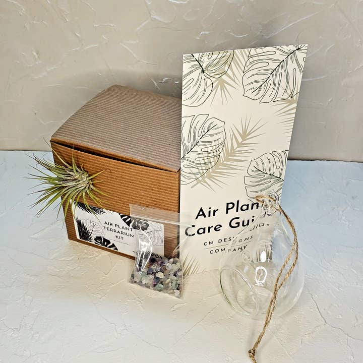 DIY Air Plant Terrarium Kit - 5" Teardrop Cool Tones for wholesale by CM Designs Company