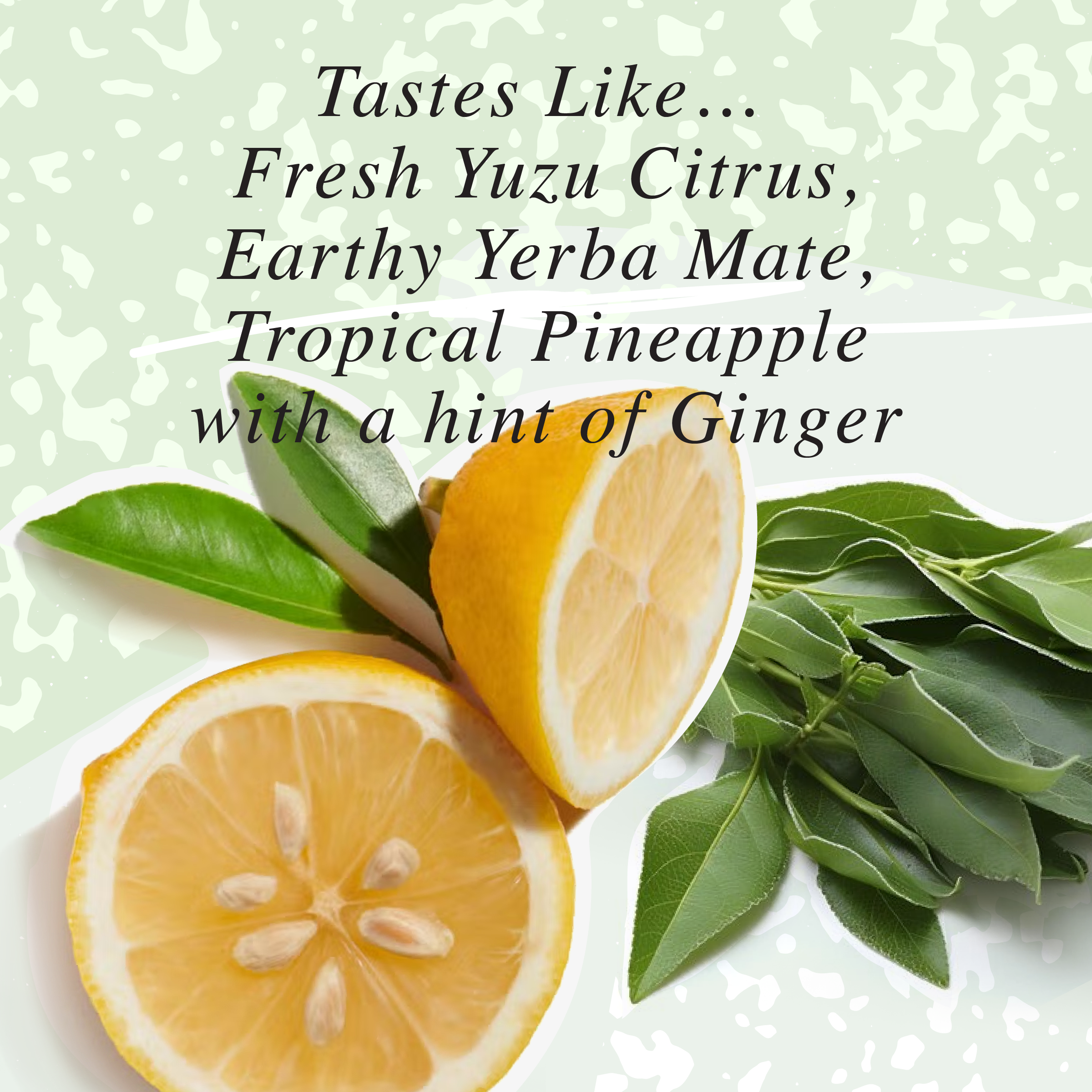 The NA Beverage Company - Wholesale Non-Alcoholic Aperitif/Mocktail - Further, Yerba Mate Yuzu, Functional Mocktail (12 Pack)5