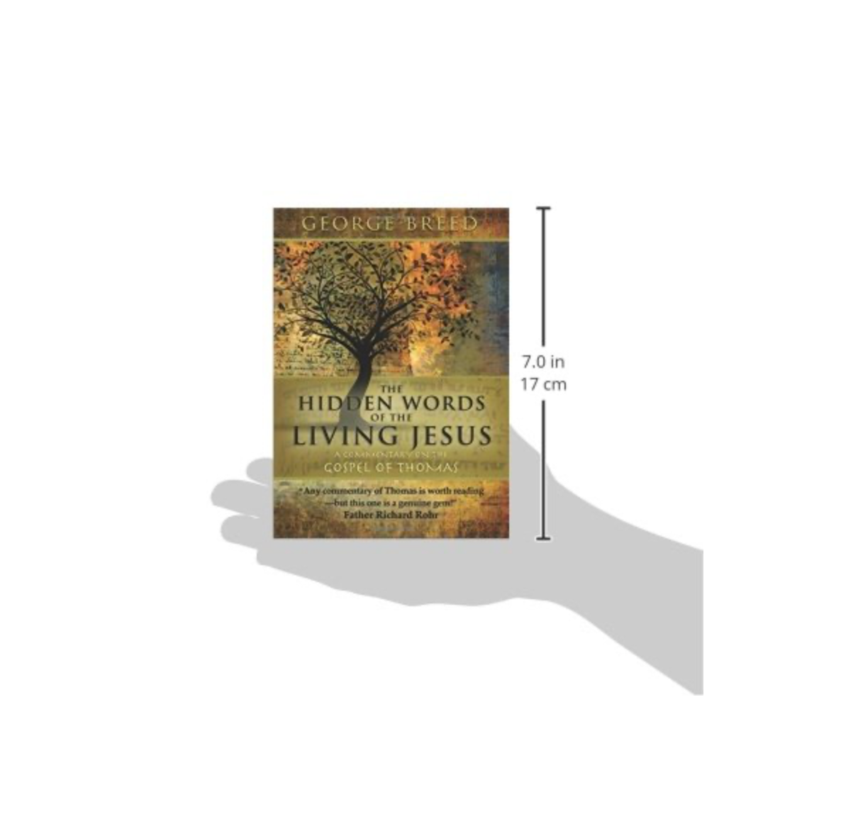 Anamchara Books - Wholesale Religion - The Gospel of Thomas: Meditations5