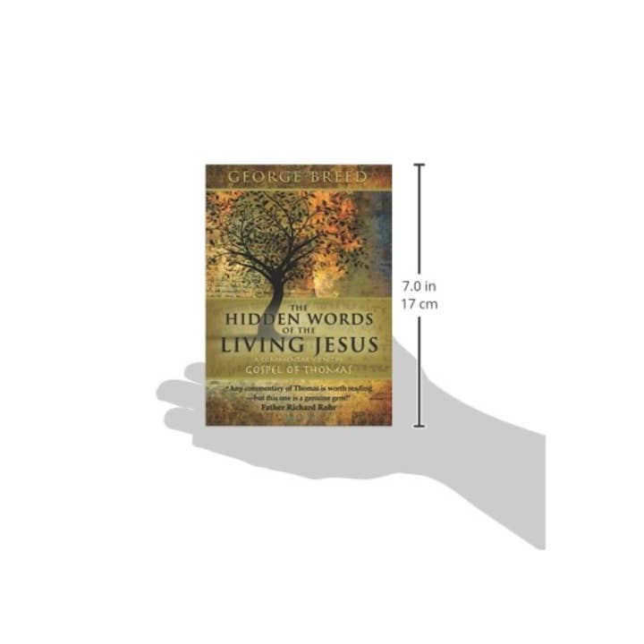 Anamchara Books - Wholesale Religion - The Gospel of Thomas: Meditations5