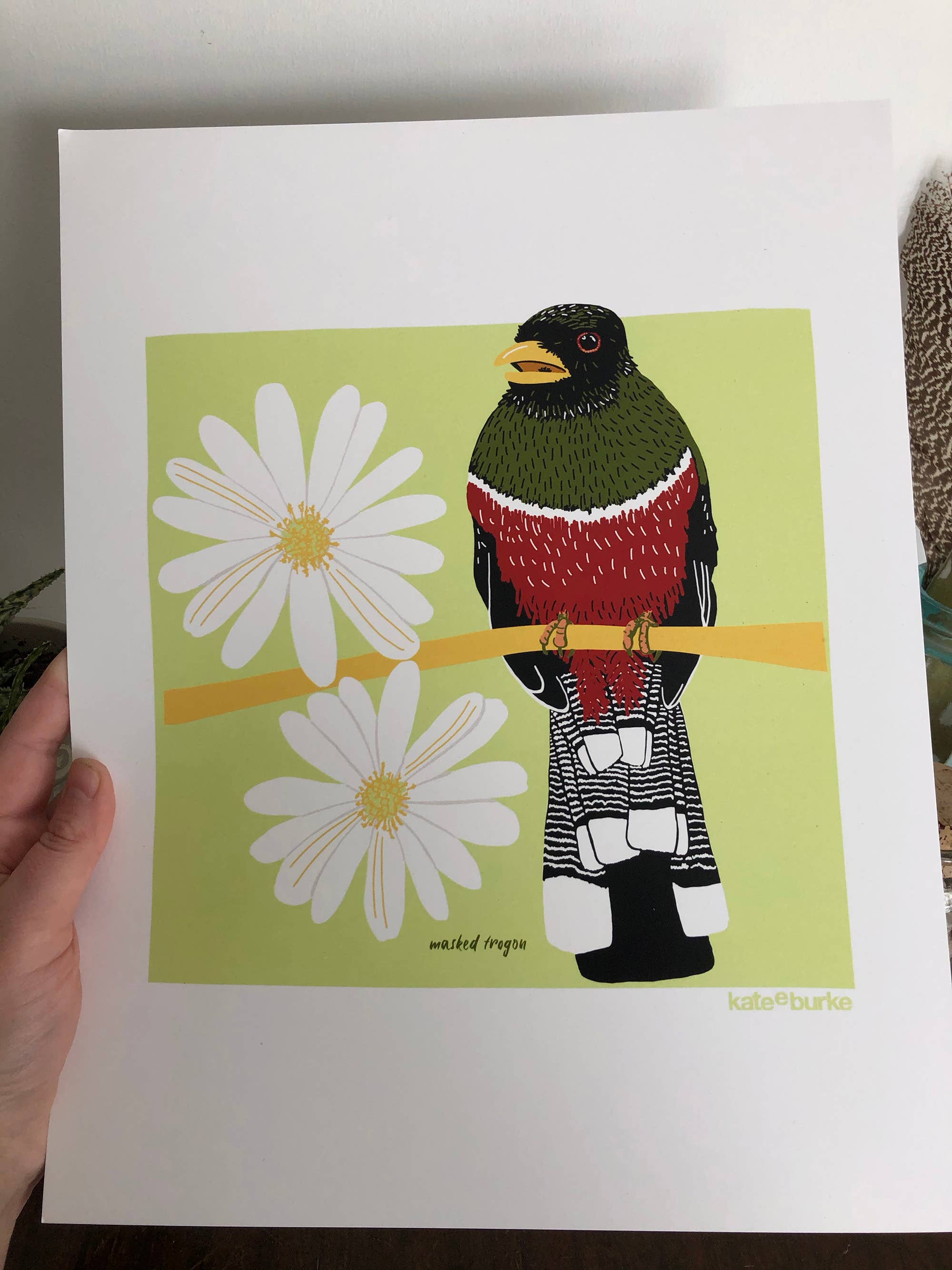Kate E. Burke - Wholesale Art Print - Bird Series: Masked Trogon 11x14 Digital Print2