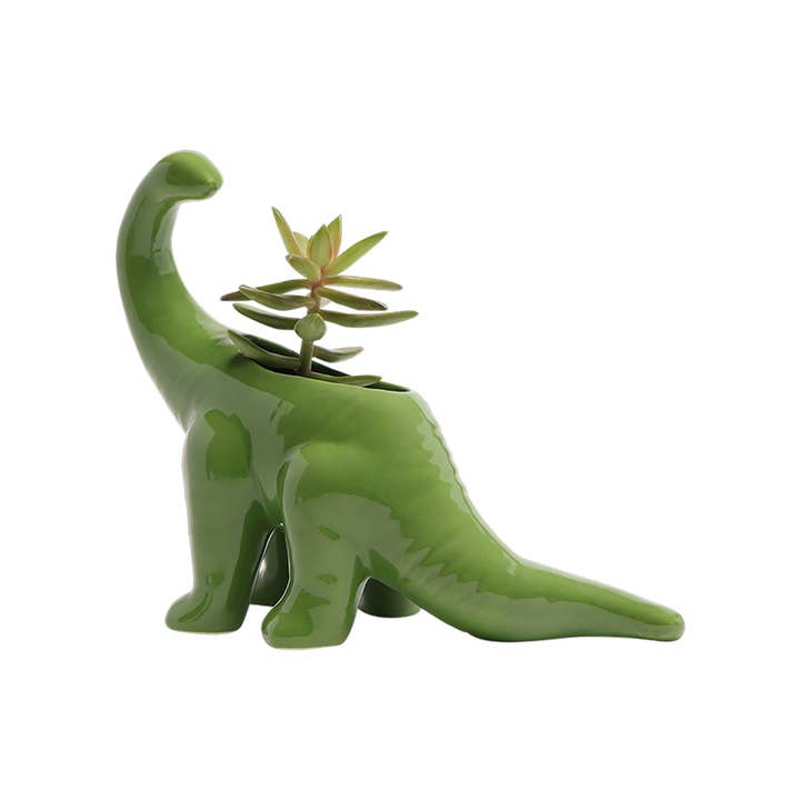Dinosaur Flower Pot For Indoor Plants 24 Piece Kit 10 Colors for wholesale by Chive Canada