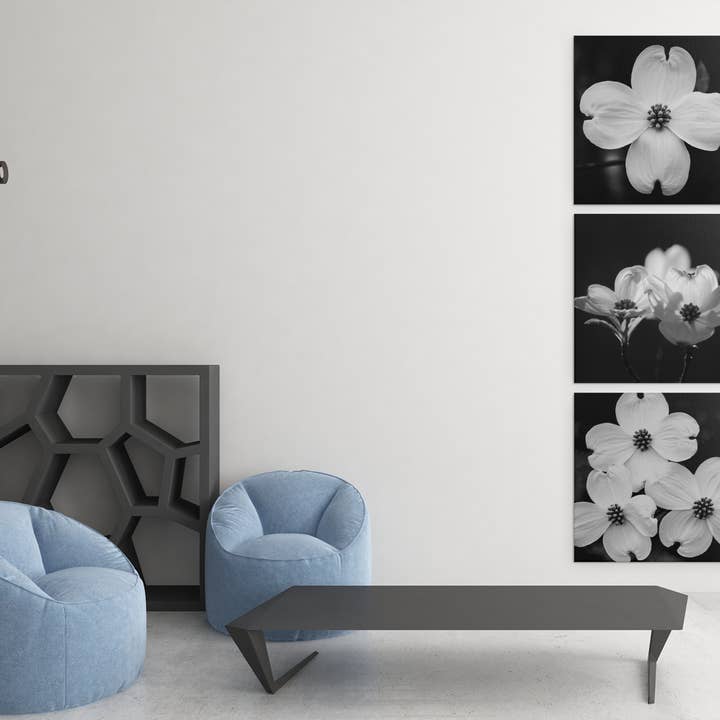 Fri Frakt Tre 12"x12" Svart och Vit Kornel Canvas för wholesale av Lisa Herigon Photography