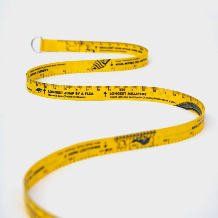 SUCK UK Ltd - USA - Wholesale Measuring Tape - World Records Tape Measure - 10ft of Guinness World Records2