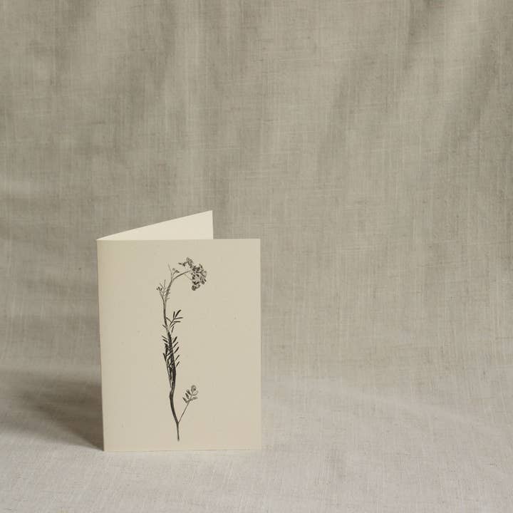 Alicia Breakspear - Wholesale Everyday Greeting Card - Lady's Smock Flower Greeting Card A6 Recycled Card
