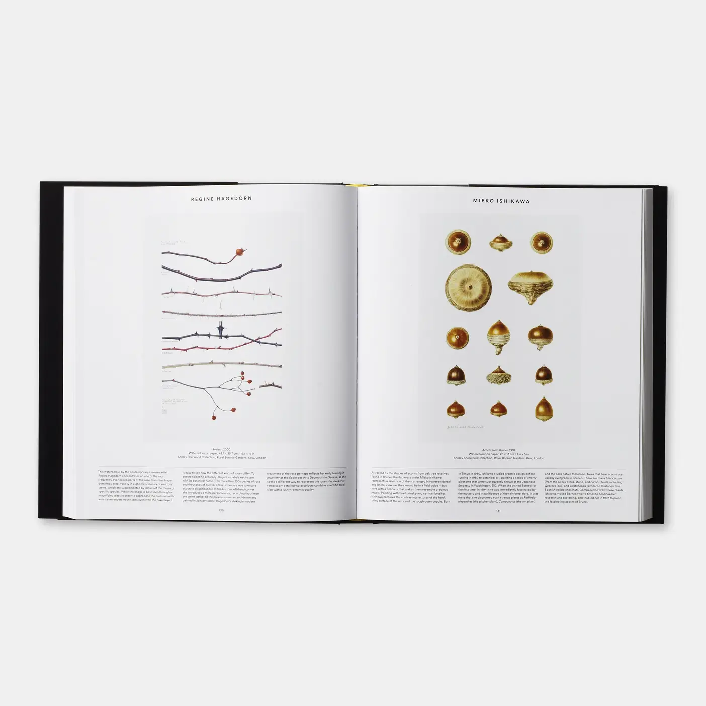 Phaidon - Wholesale Nature & Outdoors - Plant4