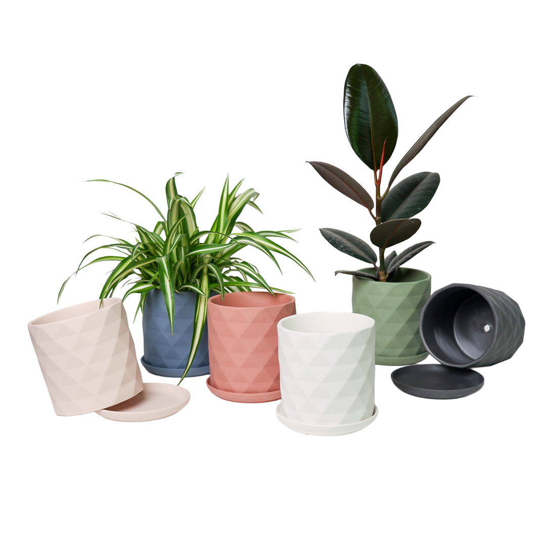 Chive - Wholesale Plant Pot - Handmade Ceramic Virago Pots | Artisan Plant Planters46