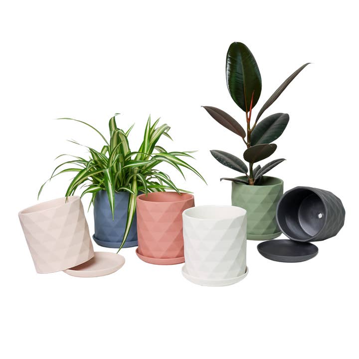 Chive - Wholesale Plant Pot - Handmade Ceramic Virago Pots | Artisan Plant Planters46