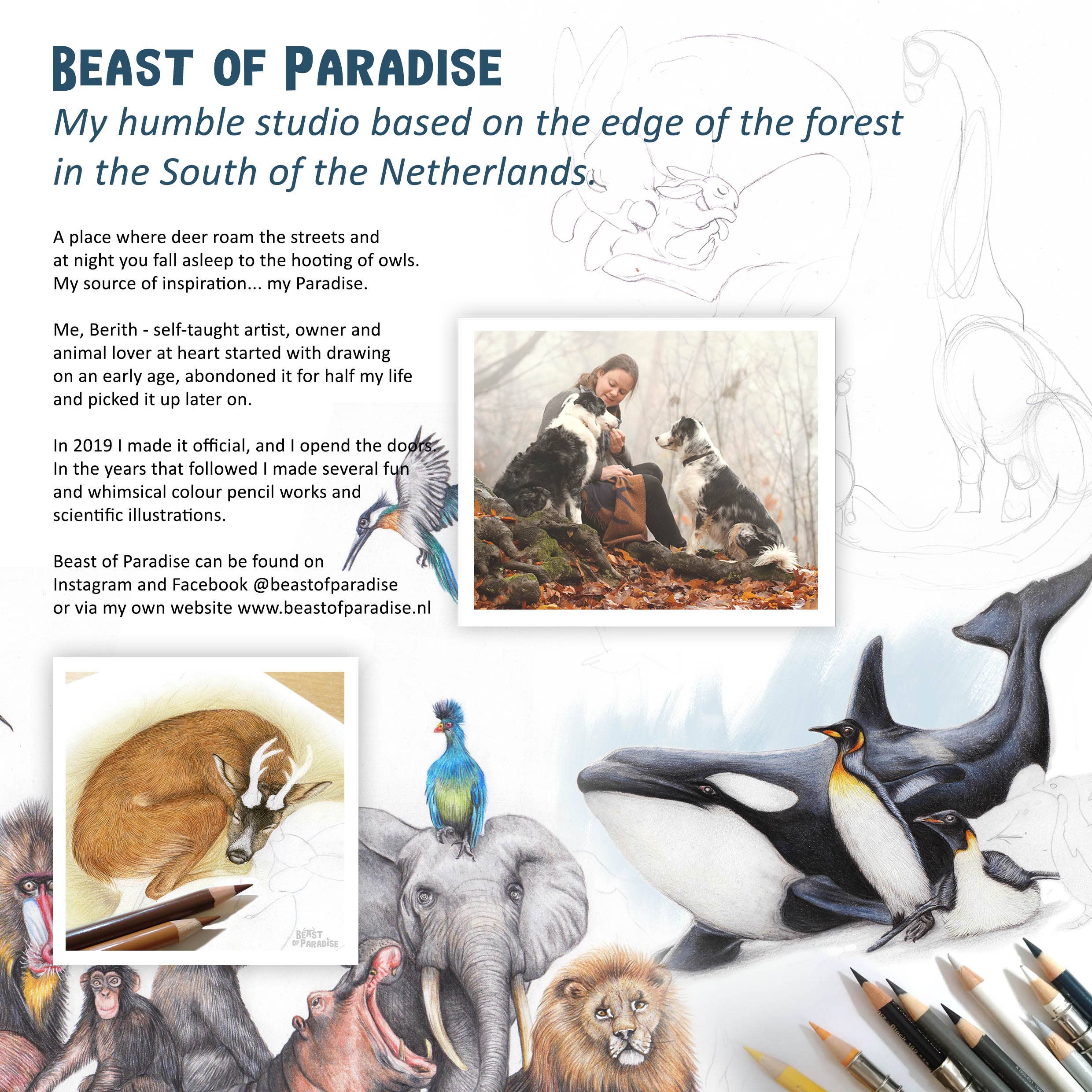 Beast of Paradise – Engroshandel Julekort – Julekort, Bird Holiday Card, Dyr lykønskningskort5