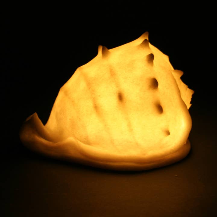 Sandsten Conch Shell ljuslåda - Mjukt varmt ljus för wholesale av Modern Coastal by Contrast Inc.