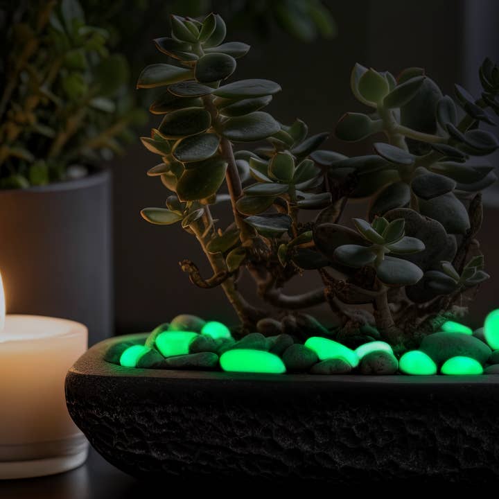 IT GLOWS - Wholesale Stepping Stone - Glow pebbles / Glow in the dark Pebbles / Landscaping pebbles / Garden stones / Eco-friendly / Pebbles / Garden decor / Decorative stones