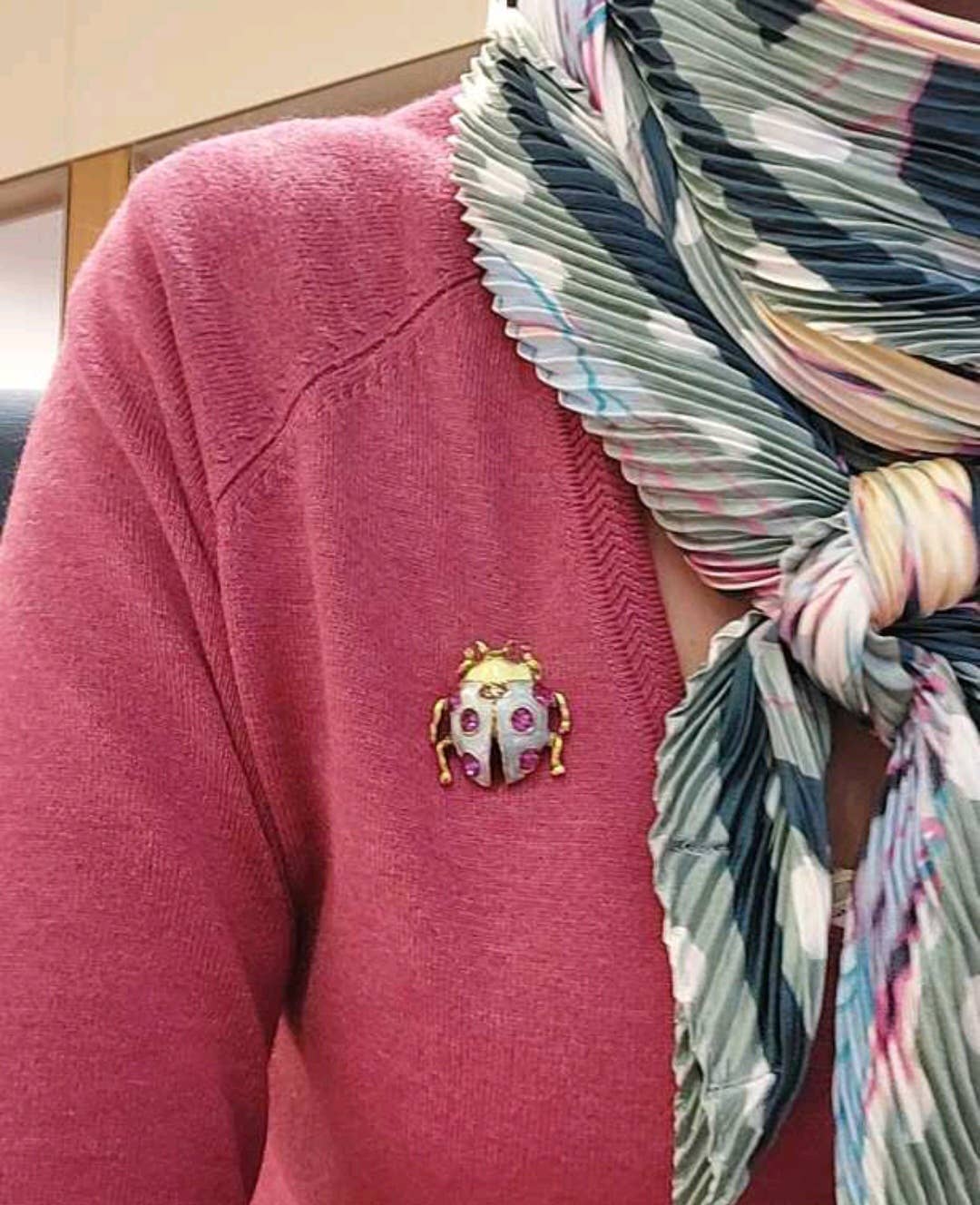 Wild & Free - Wholesale Brooch - Broche de mariquita1