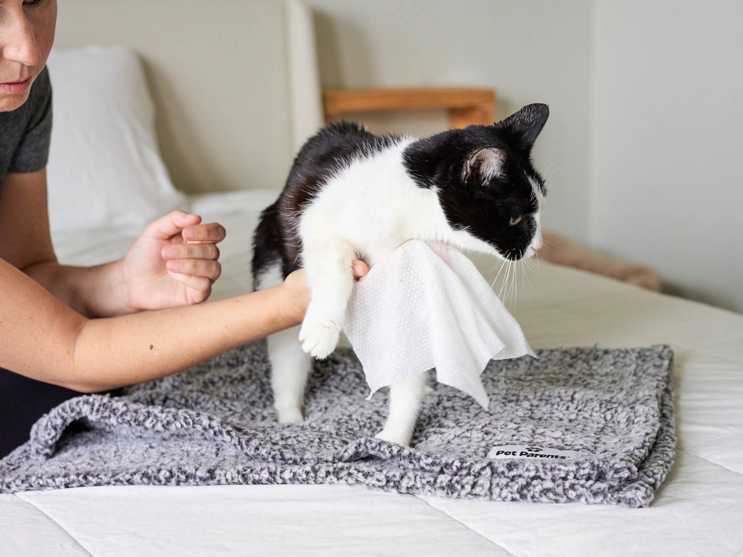 Pet Parents® - Wholesale Pet Grooming Aid - Dog - Pet WiPees™ Cat All Purpose Cat Wipes, 100ct5