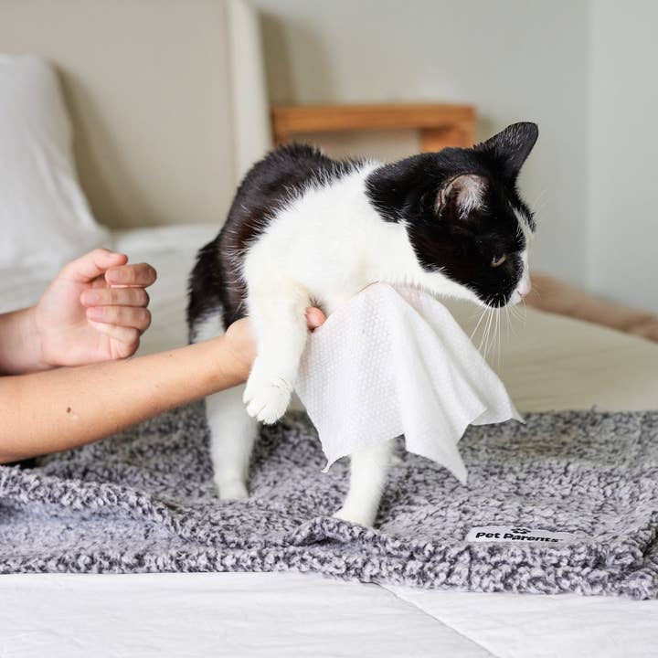 Pet Parents® - Wholesale Pet Grooming Aid - Dog - Pet WiPees™ Cat All Purpose Cat Wipes, 100ct5