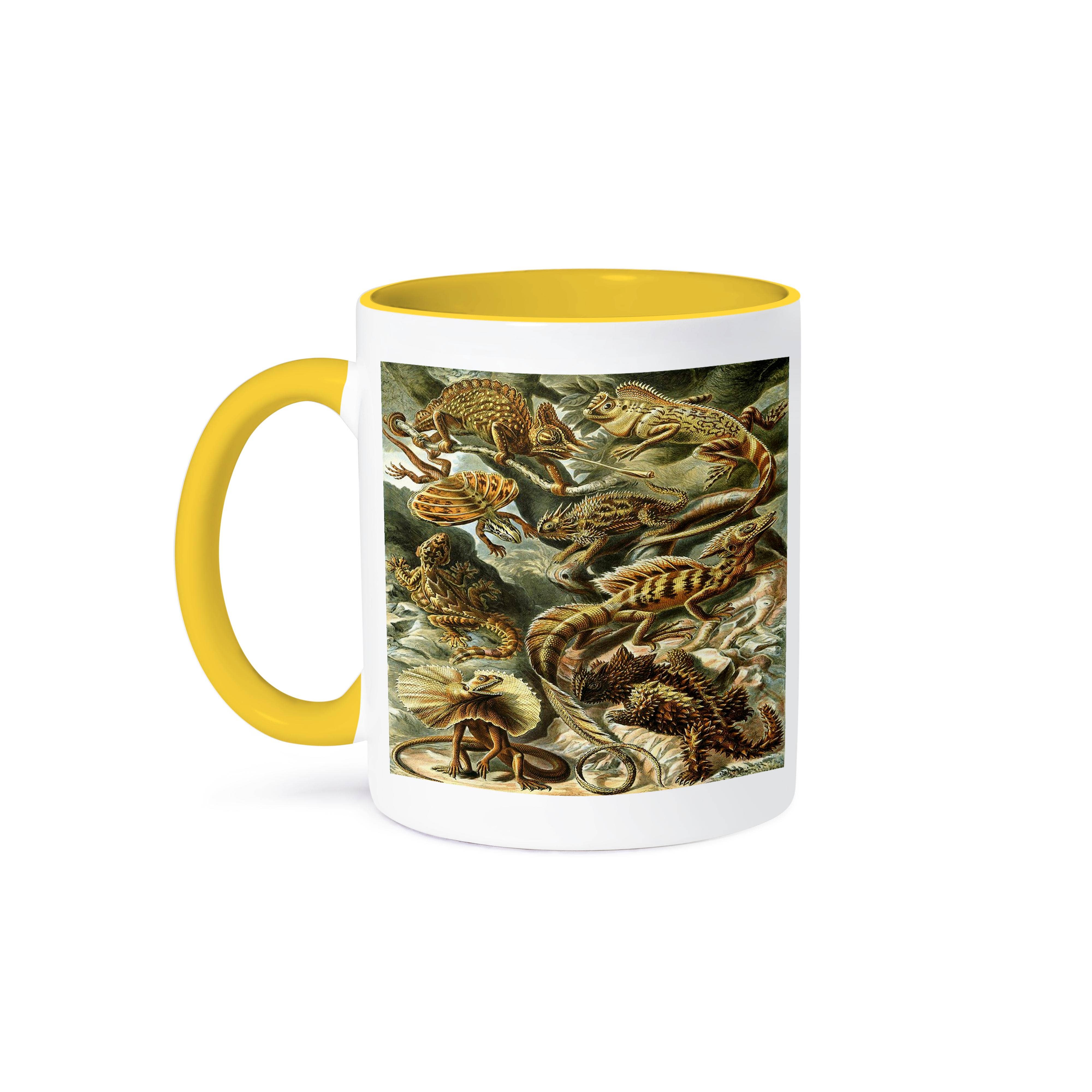 3dRose - Wholesale Coffee Mug - 3dRose, 1904 Sketch Of Lizards By Famous Biologist, Mug0