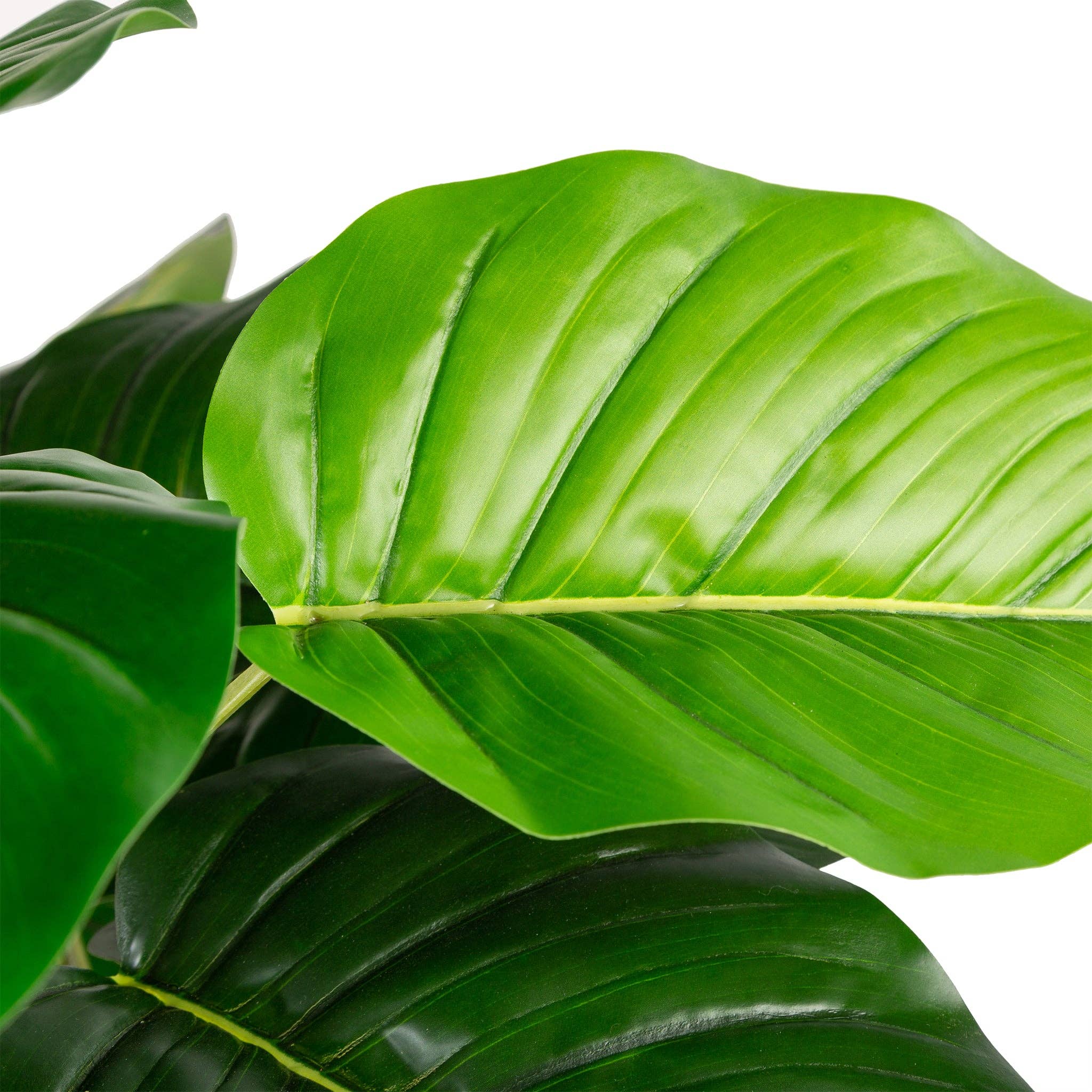 Closer2Nature - Wholesale Artificial Plant - Artificial 4ft Pothos Plant9