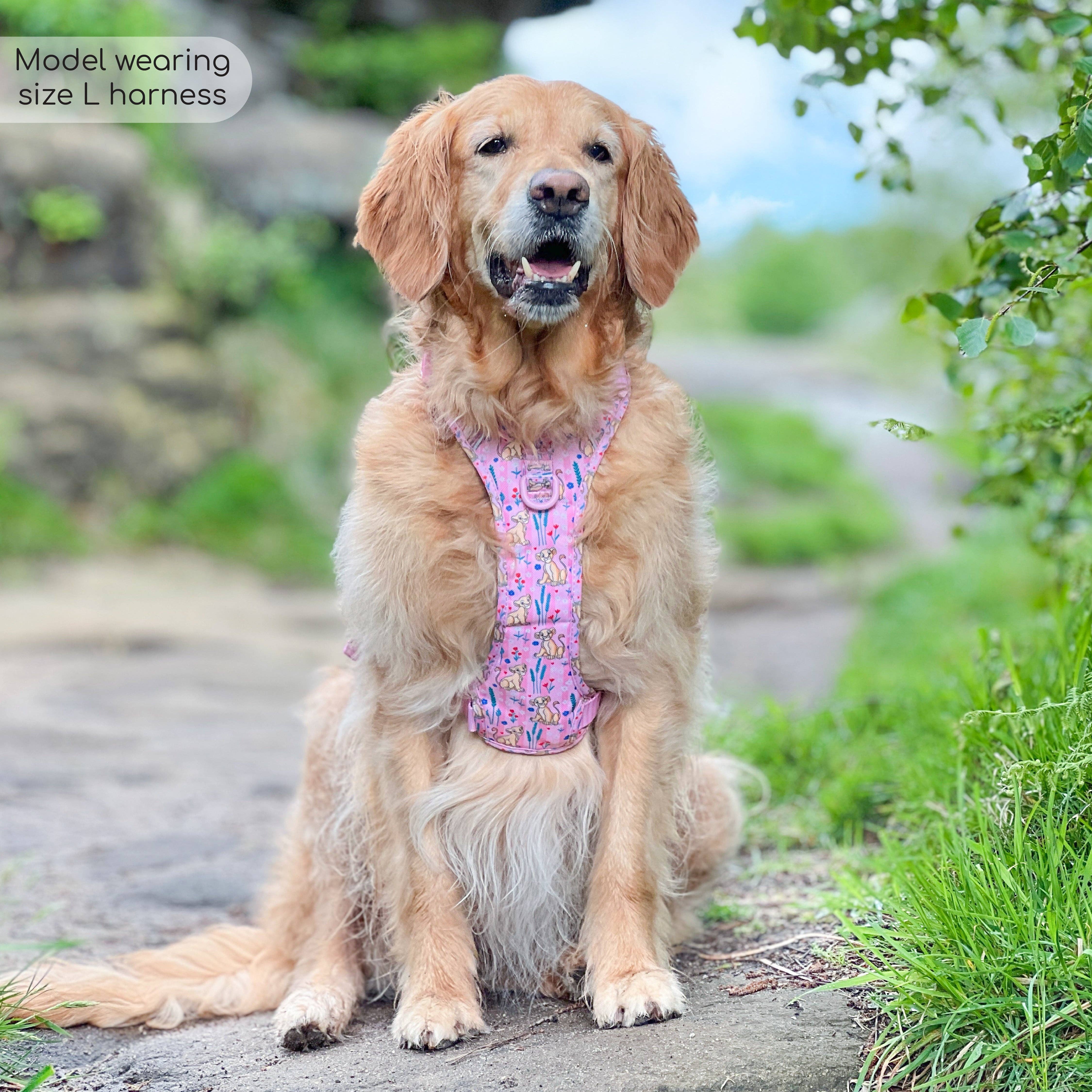 Pawsome Paws - Vendita all'ingrosso Pettorina - Cani - Imbracatura Disney© Tough Trails™ - Nala12