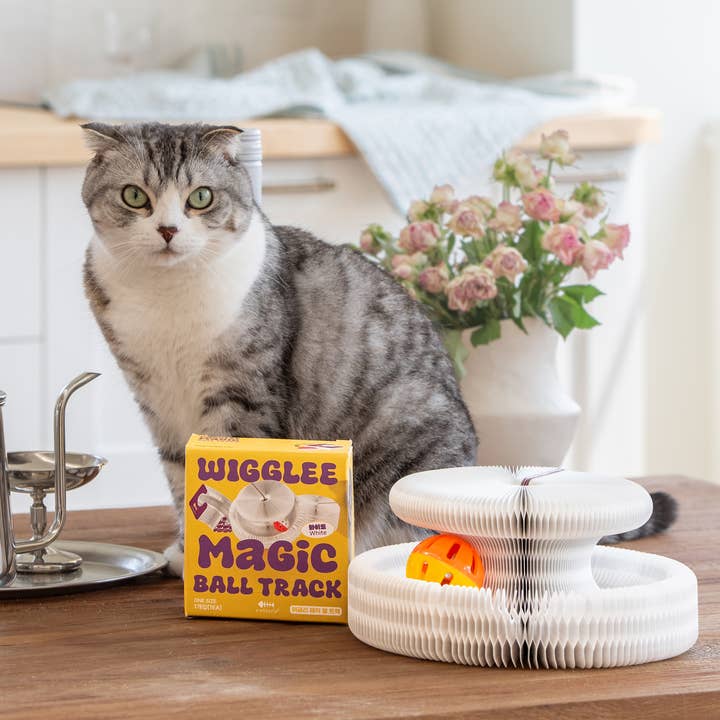 Olchi - Wholesale Pet Toy - Cat - WIGGLEE MAGIC BALL TRACK (CAYA-TO9520)