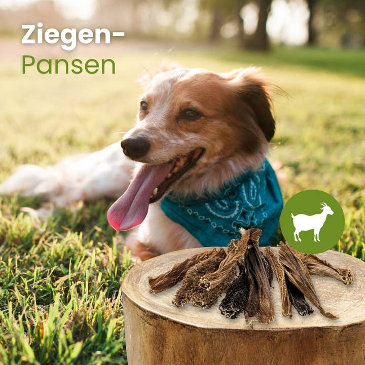 Kauartikel.com GmbH - Wholesale Pet Bone/Rawhide - Dog - goats rumen1