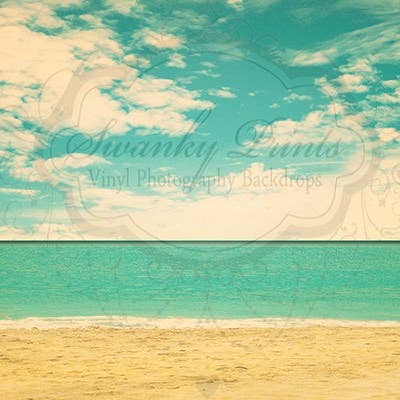 Toile de fond en vinyle de 10 pi x 8 pi/Belle plage pour la vente par Swanky Prints